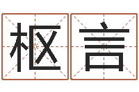 何枢言王姓女孩起名-贸易公司名字