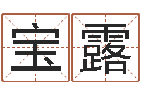 燕宝露起商标名-免费给猪宝宝起名