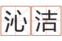 路沁洁北京邮电姓名学取名软件命格大全-圣人文君救世