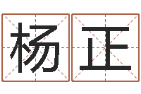 杨正易学入门-四柱八字教程