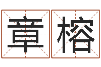 王章榕还阴债算命-十二生肖五行