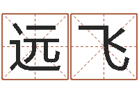 桂远飞名字预测人生-八字视频教程