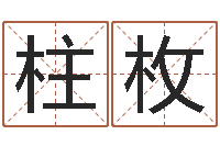 潘柱枚免费为婴儿起名-周易研究会论坛