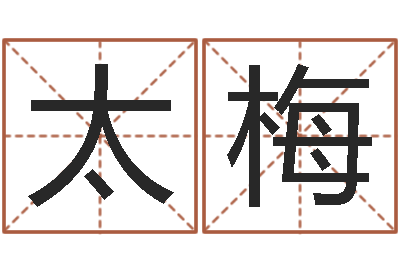 田太梅免费四柱算命-九星算命