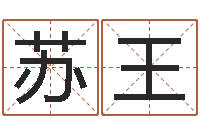 苏王金木水火土查询-给宝宝在线取名