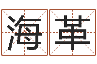 万海革最好的英文名字-生辰八字算命取名