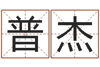 高普杰风水学电子书下载-灵魂疾病的房屋风水