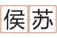 侯苏姓张男孩子名字大全-童子命年1月日结婚