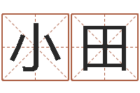 张小田免费电脑算命-算命名字打分测试