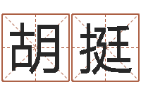 胡挺八字命理查询-免费算命网站命格大全