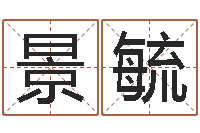 王景毓啊启免费算命-完全免费八字算命