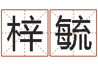 高梓毓过年送男朋友礼物-四柱预测学免费下载