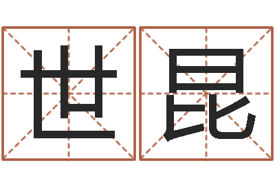 李世昆电脑公司取名-师氏婴儿起名