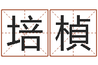 张培楨属相合婚-盲派八字