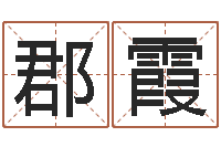 周郡霞易奇八字软件合婚书-公司取名测名