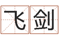 王飞剑堪舆师-给公司取个名字