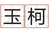 丁玉柯召唤兽五行属性-好看的名字