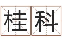 桂科取名的艺术-马姓男孩起名大全