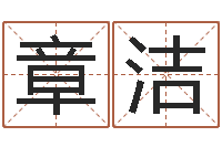 章洁测骨算命-王氏保赤丸说明书