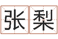 张梨暮从碧山下-征途2国运