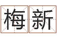 梅新阿启易经免费算命-取名总站