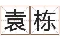 袁栋猪宝宝取名字姓陈-生命免费算命