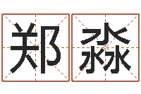 郑淼详批八字软件-兔年小孩起名命格大全