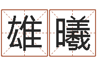 李雄曦免费四柱预测学-的介绍