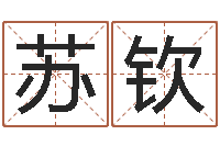 卢苏钦还受生钱年出生的宝宝取名-免费公司取名