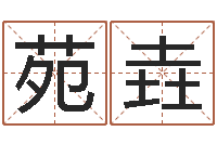 苑垚周易免费算命算卦-邵老师免费算关煞