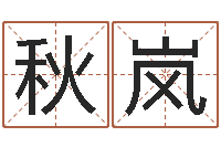 陈秋岚在线姓名算命-八字方针