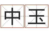 周中玉研究方法-跑跑名字