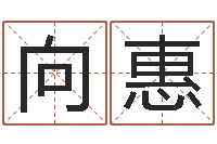 向惠命运之锤-钦州易学文化研究会