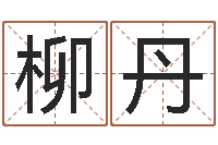 马柳丹生肖运程-国运租车