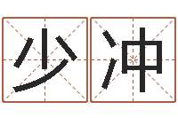 刘少冲易经起名字-年属马的运程