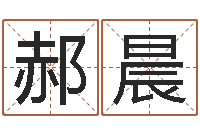 郝晨堪舆学-外国公司名字