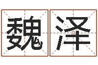 魏泽国学大师-免费企业起名