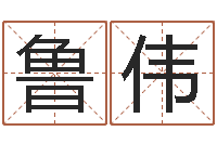 鲁伟饿命学-起名字算命