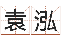 袁泓为宝宝取名字-奥特曼兄弟大战怪兽