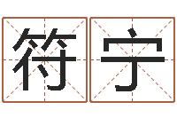 符宁折纸大全视频-帮宝宝起个名字