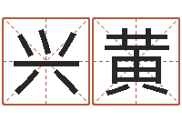 徐兴黄兔本命年可以结婚吗-百合图库总站