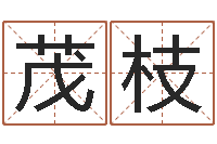 郑茂枝生辰八字算命准吗-六爻预测