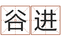 谷进风水学著作-阿启免费测姓名打分