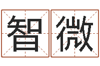 李智微给孩子取个好名字-周易免费电脑算命