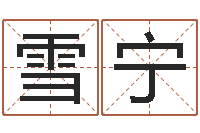 王雪宁智命宝-大连人文姓名学取名软件命格大全