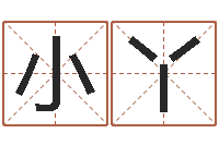 唐小丫复命记-跑跑车队名字