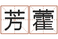 张芳藿四柱排盘系统-名典起名