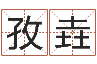 徐孜垚提运瞅-掌纹算命