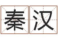 秦汉生辰八字算命准确吗-精神分裂症能结婚吗