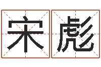 宋彪八卦六爻预测入门-十六字阴阳风水密术